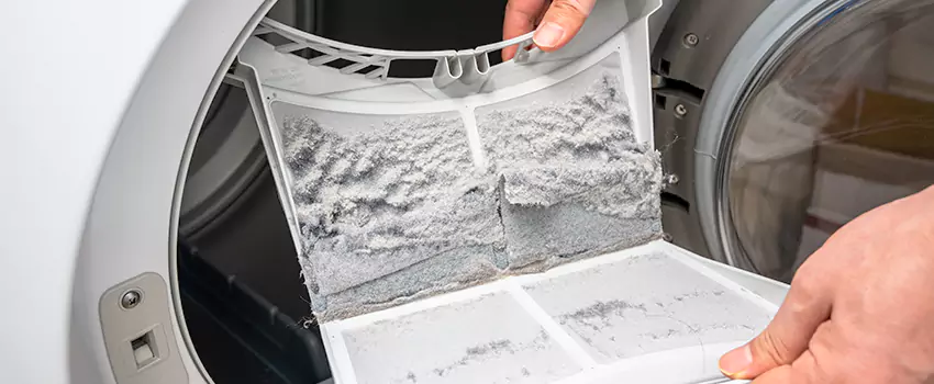 Best Dryer Lint Removal Company in Greenfield, California