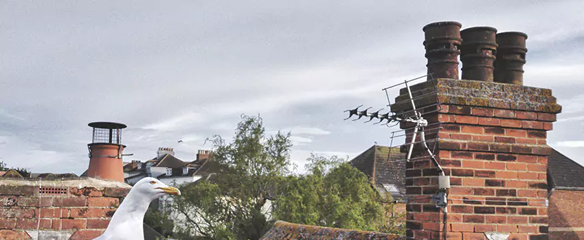 Chimney Cleaning And Restoration in Greenfield, California